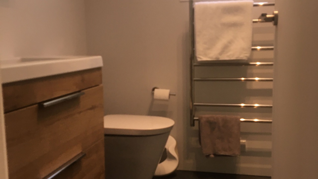 Photo of Bathroom in Piha