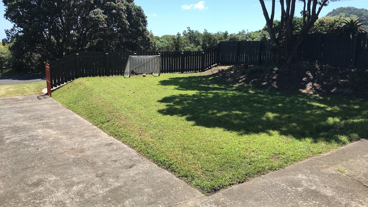 Photo of Outdoor in Piha