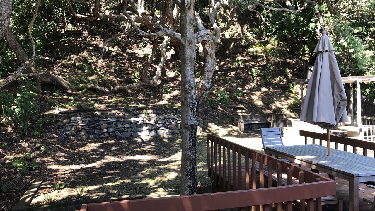 Photo of Outdoor in Piha