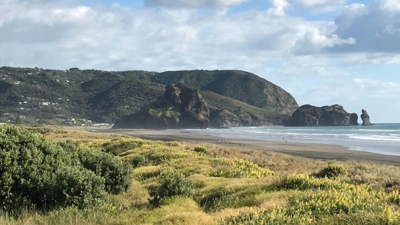 Photo of Others in Piha