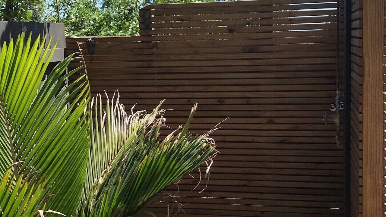 Photo of Outdoor in Piha