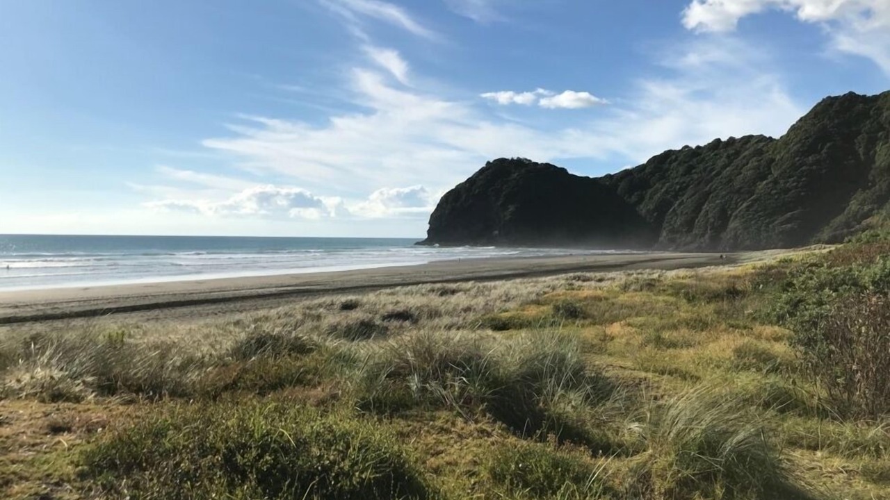 Photo of Others in Piha