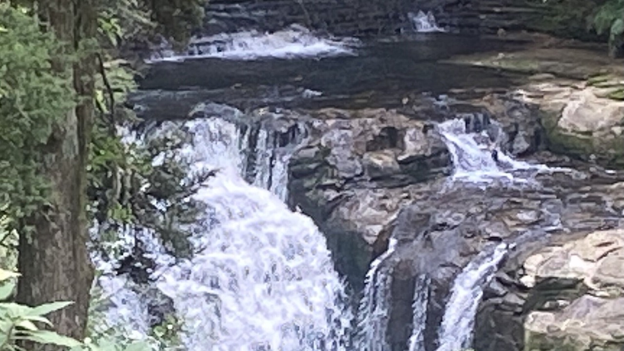 Photo of Others in Matakana