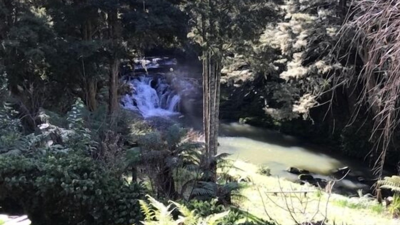 Photo of Others in Matakana