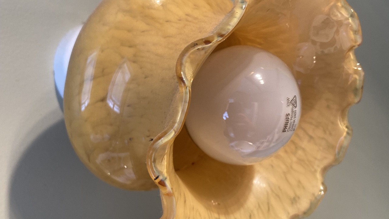 Photo of Others in Matakana