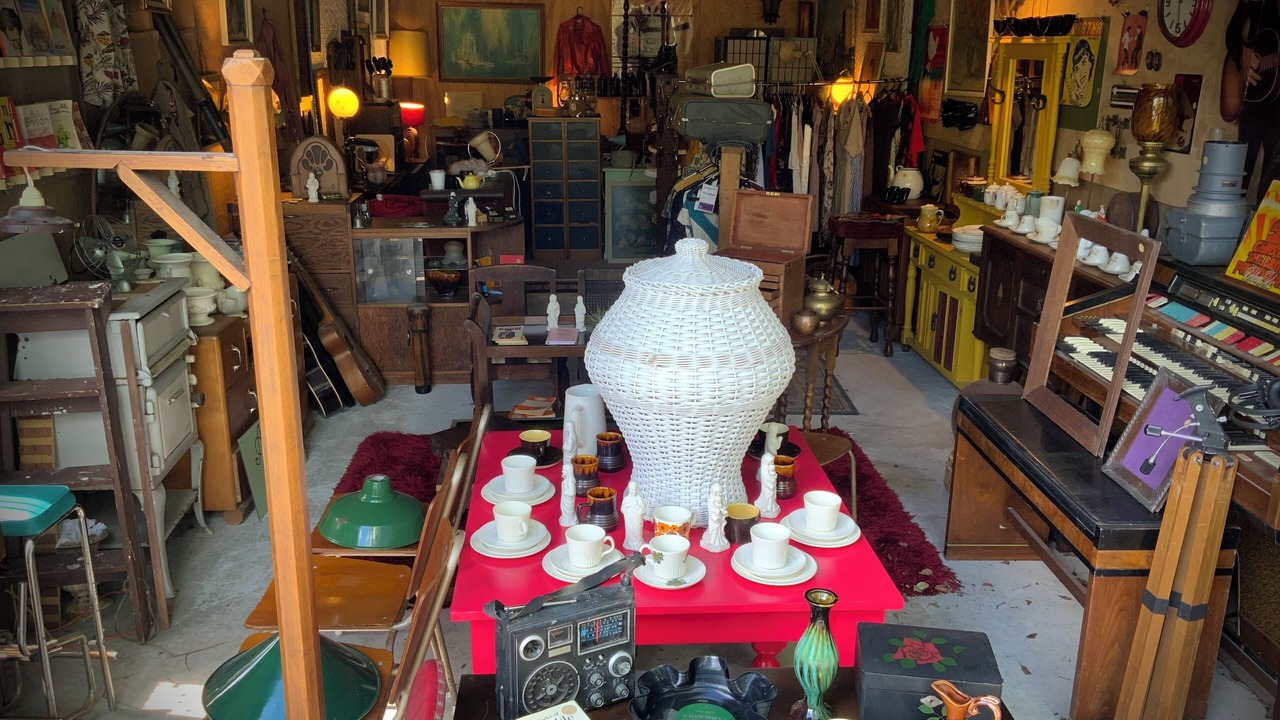 Photo of Others in Matakana