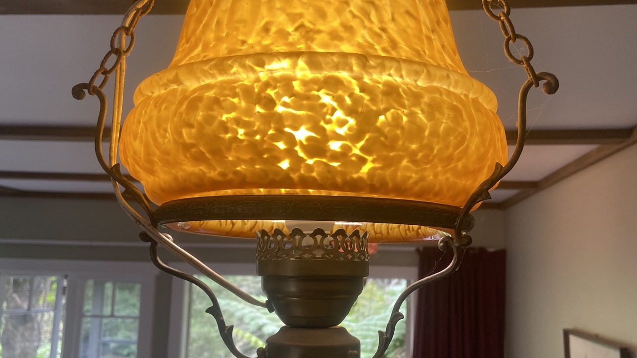 Photo of Others in Matakana