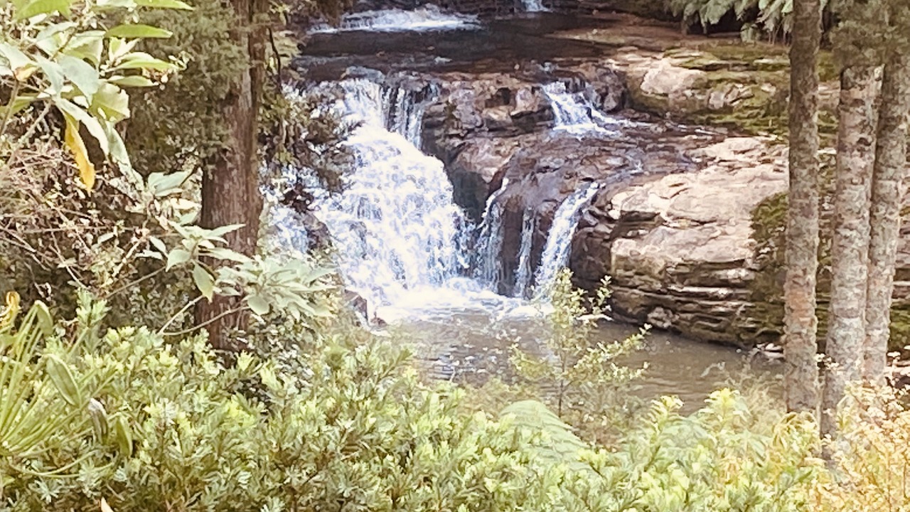 Photo of Others in Matakana