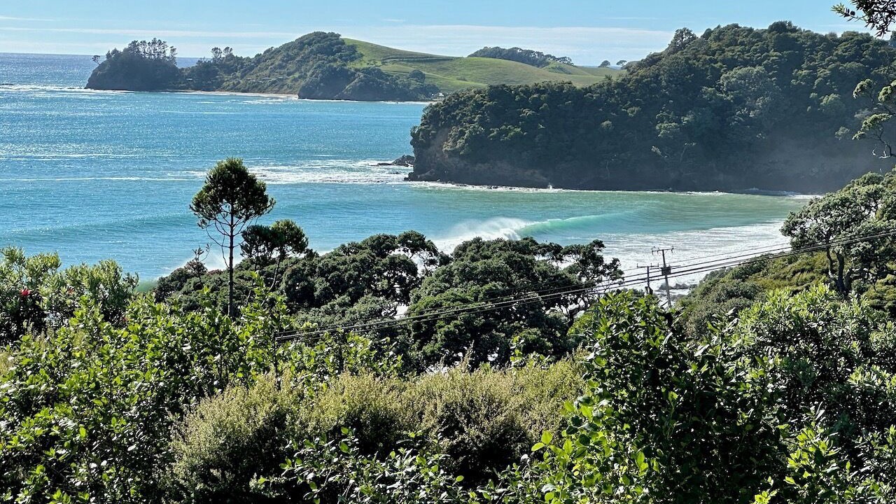 Photo of Others in Whananaki North