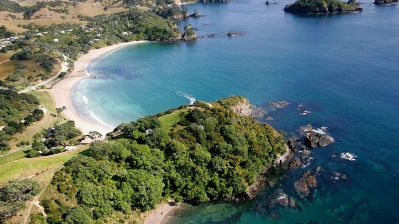 Photo of Others in Whananaki North