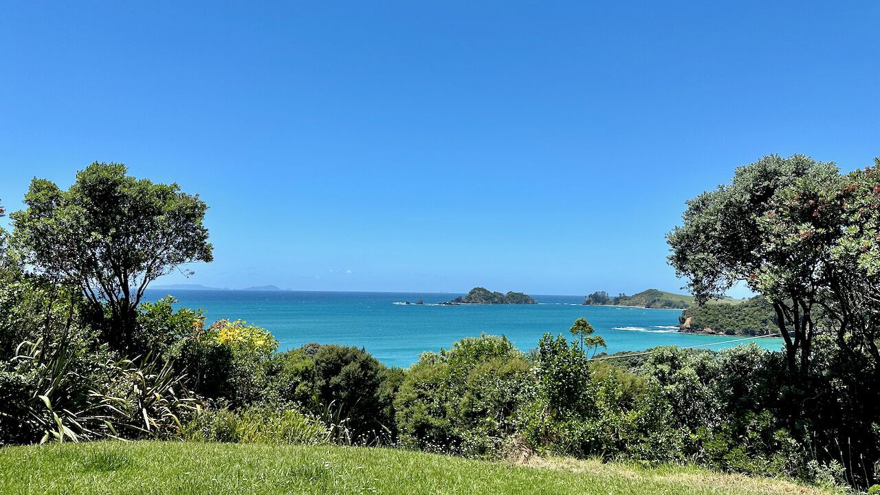 Photo of Others in Whananaki North