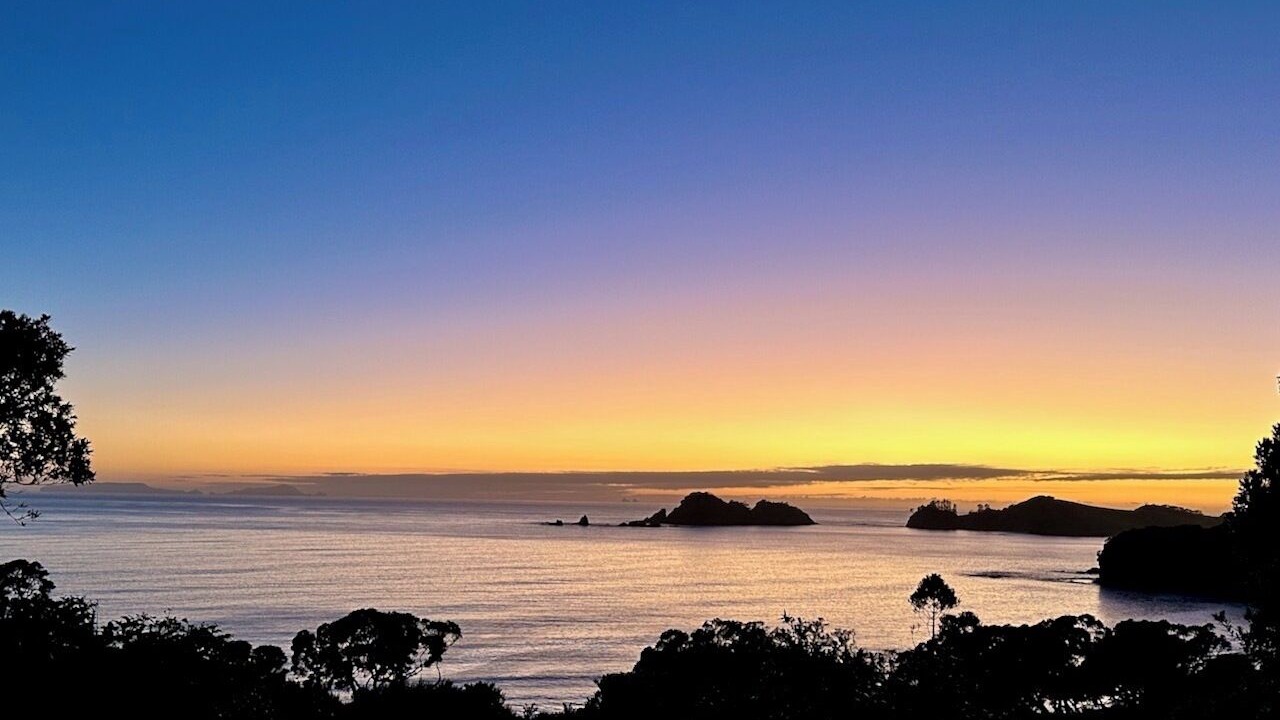 Photo of Others in Whananaki North