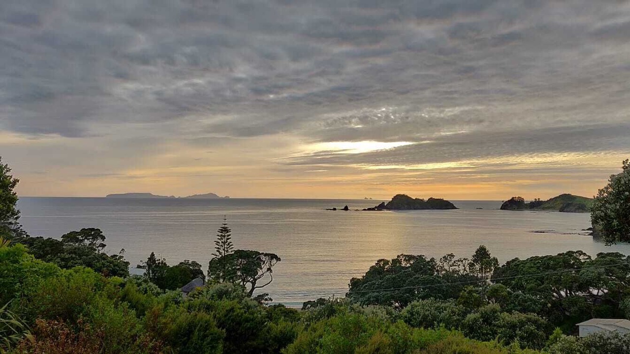 Photo of Others in Whananaki North