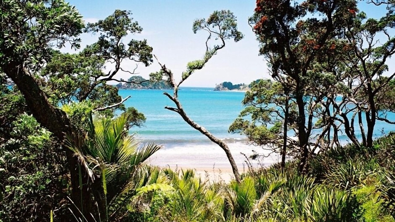 Photo of Others in Whananaki North