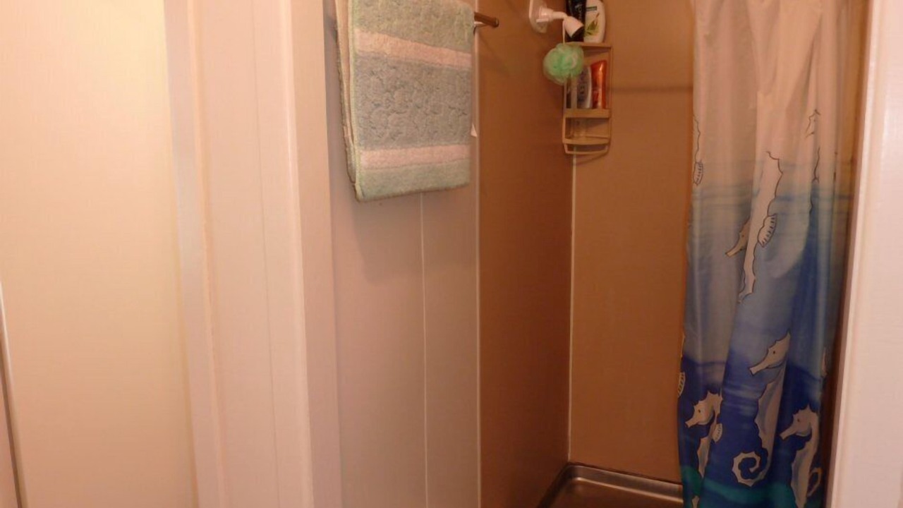 Photo of Others in Urenui