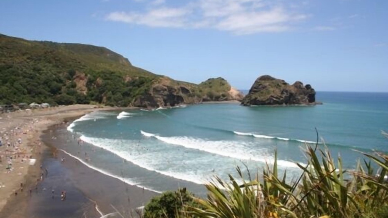 Photo of Others in Piha