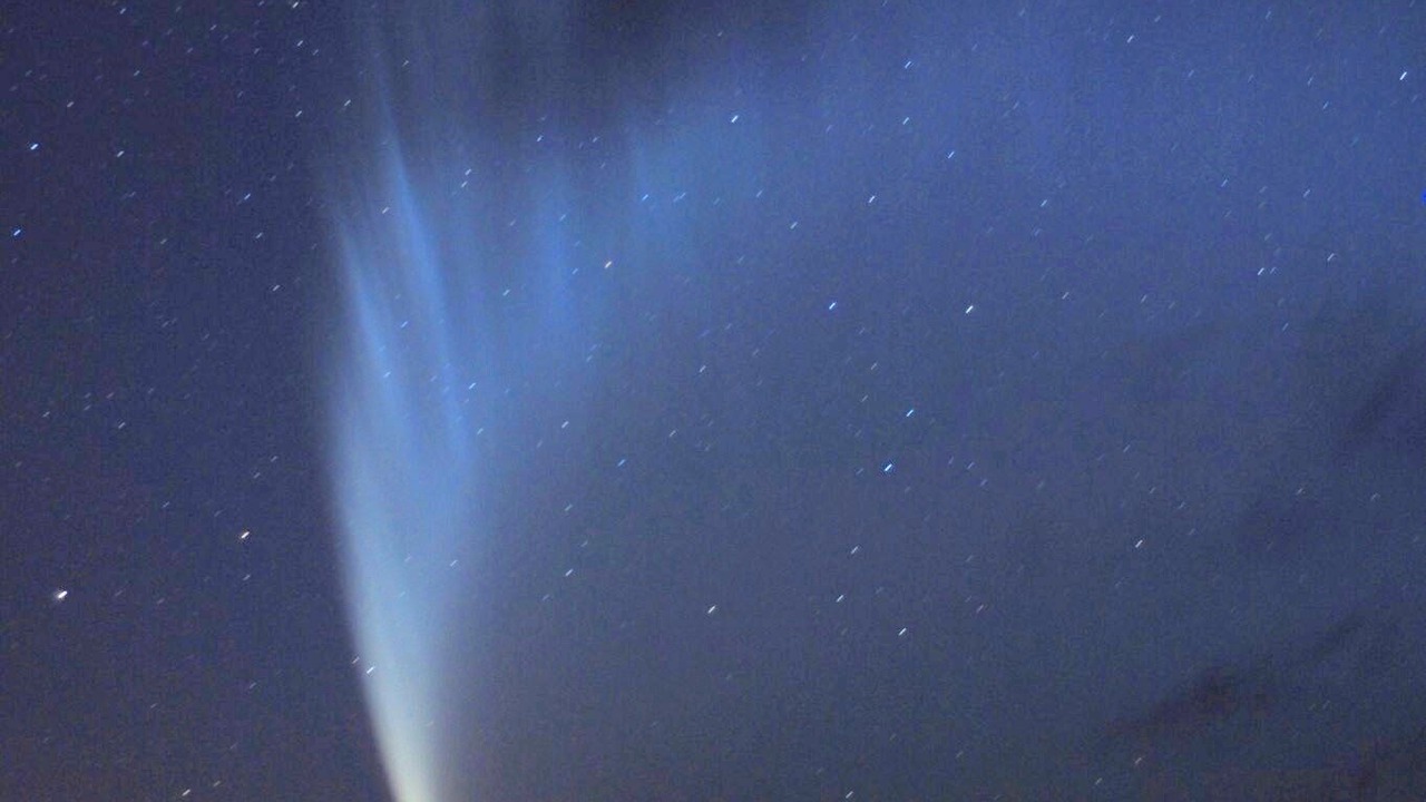 Photo of Others in Piha