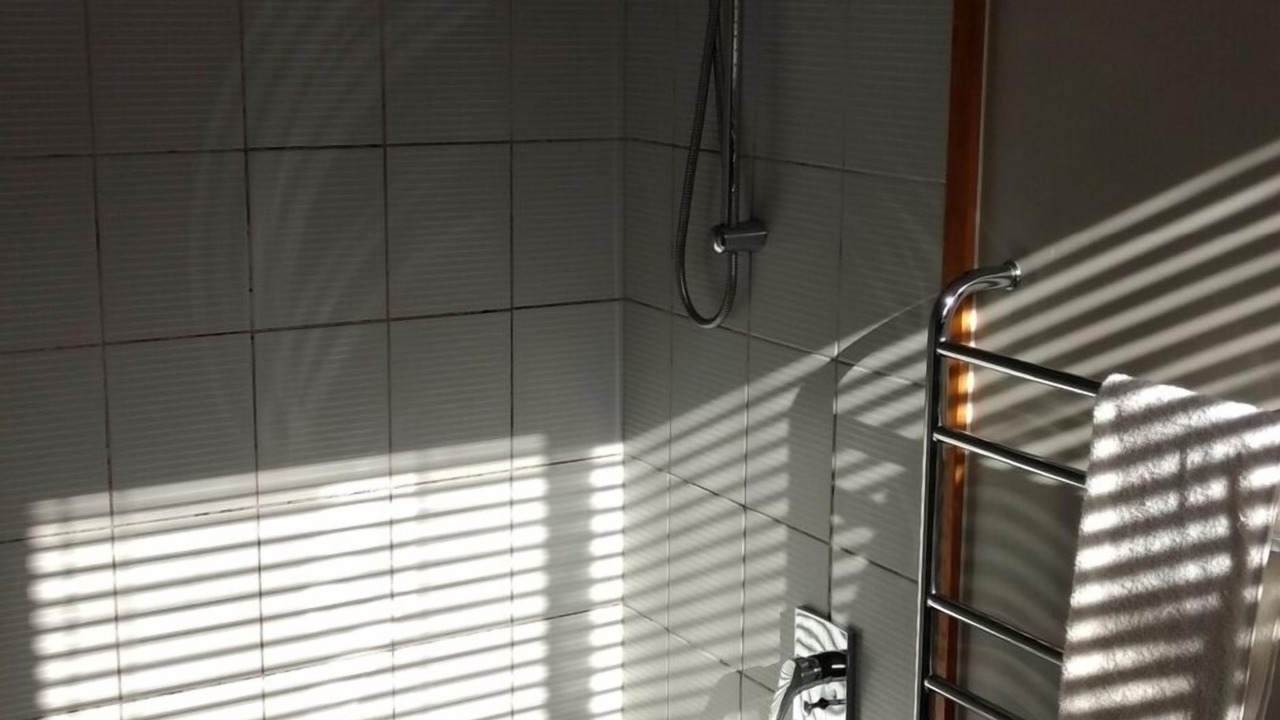 Photo of Bathroom in Piha