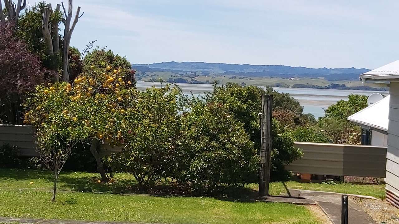 Photo of Outdoor in Kawhia