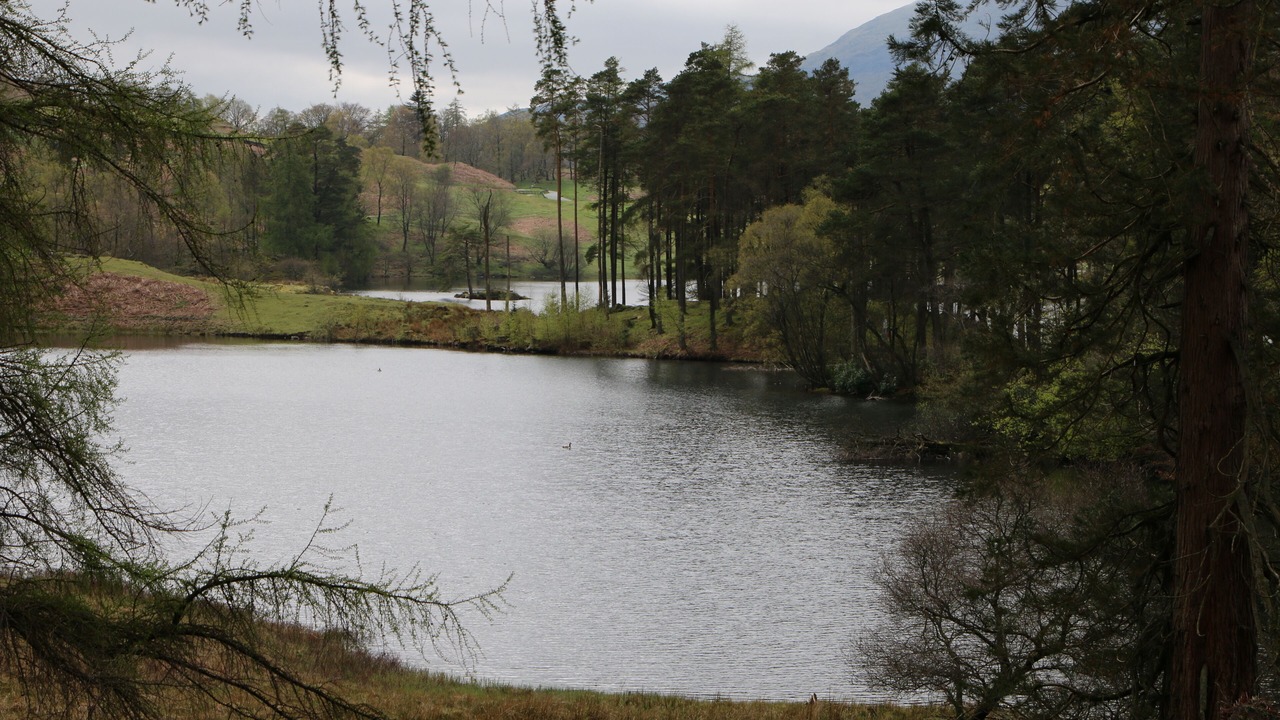 Photo of Outdoor in Windermere