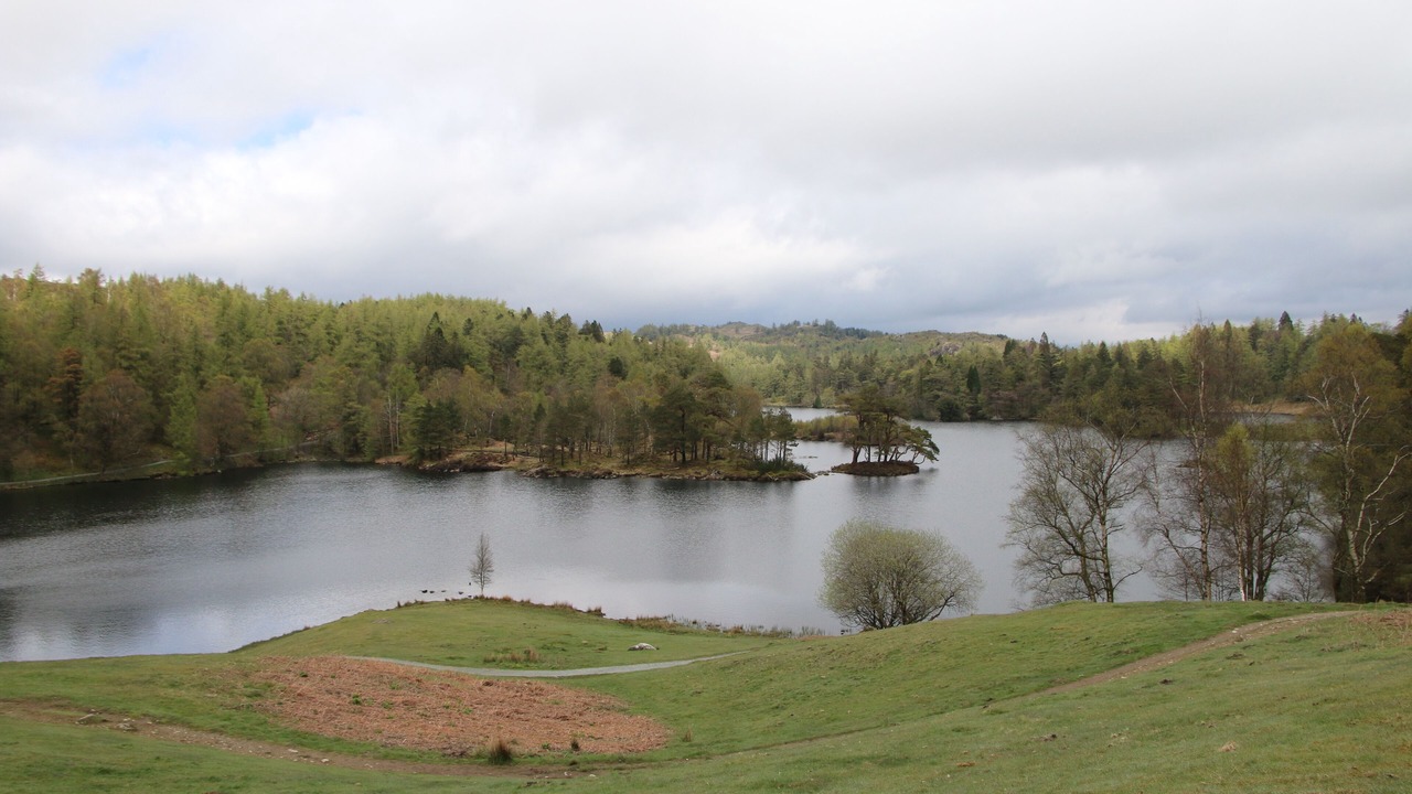 Photo of Others in Windermere