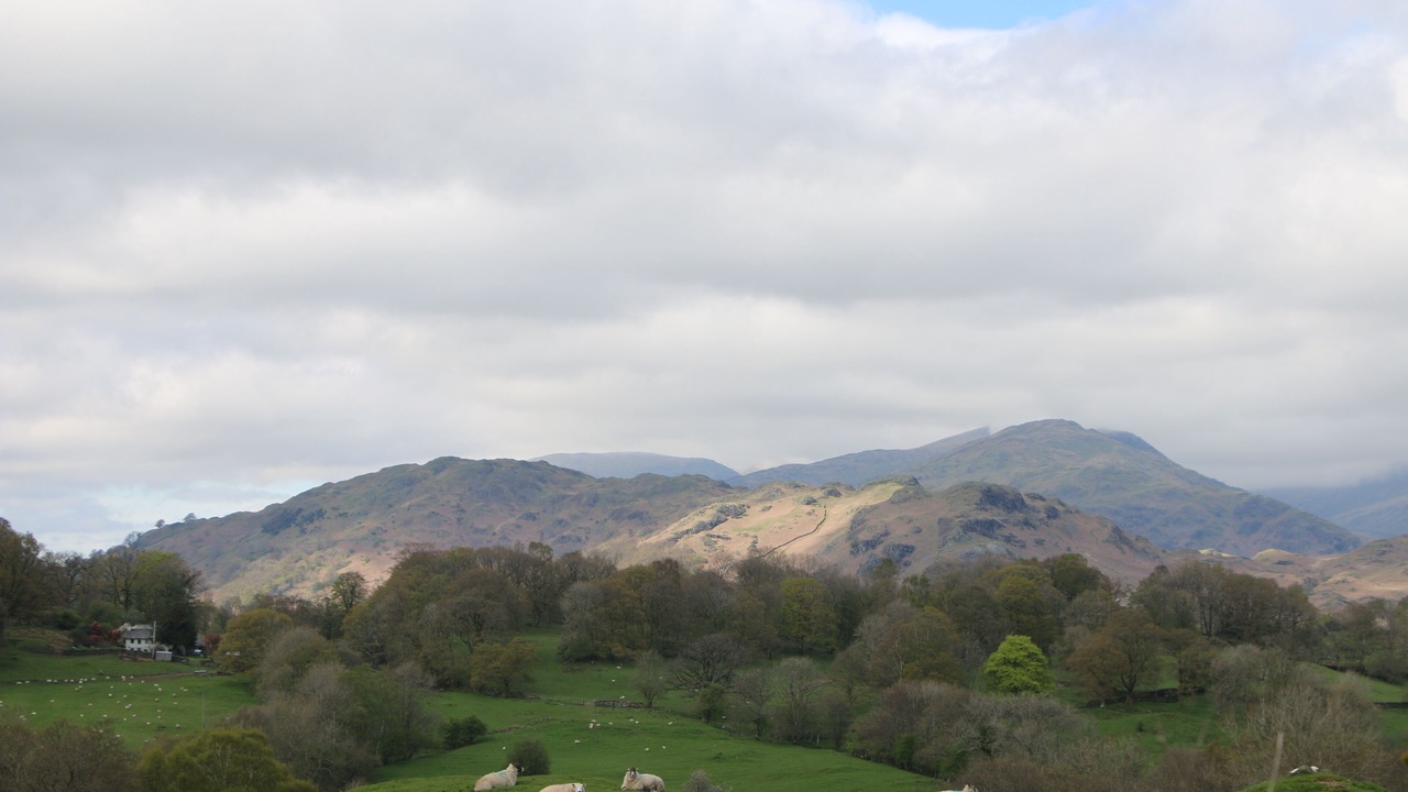 Photo of Others in Windermere