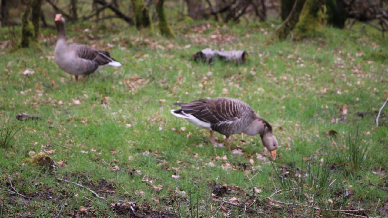 Photo of Outdoor in Windermere
