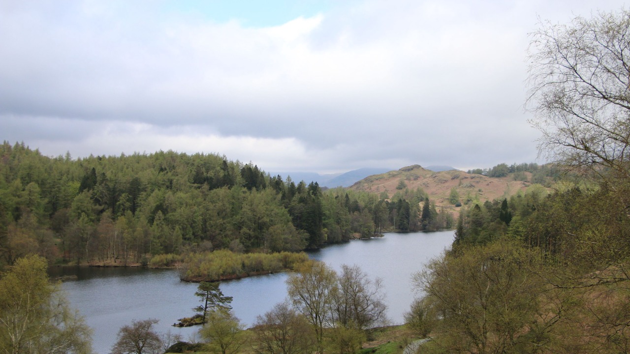 Photo of Others in Windermere