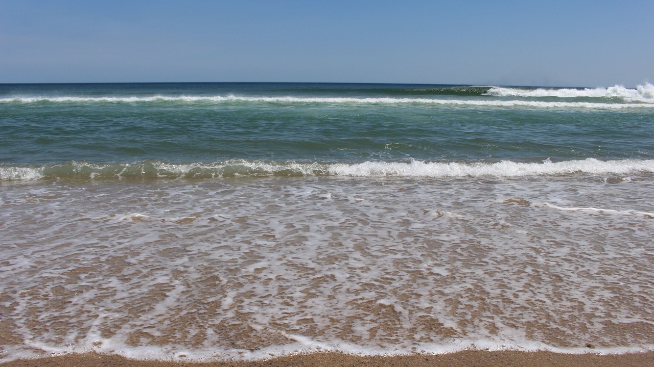 Photo of Others in Eastham