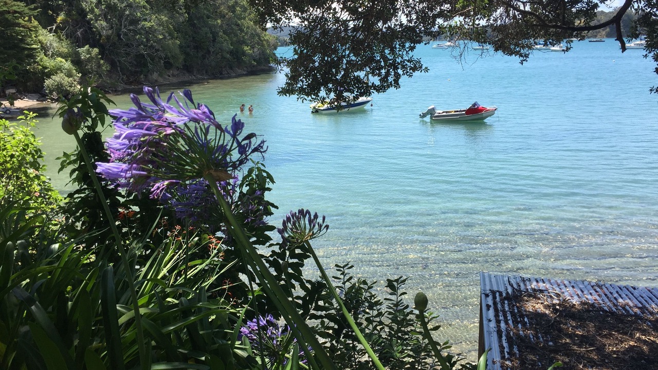 Photo of Others in Mahurangi West