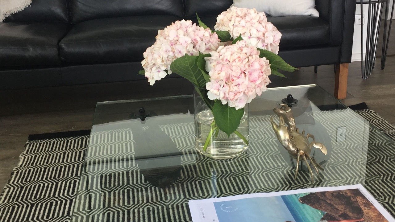 Photo of Others in Mahurangi West