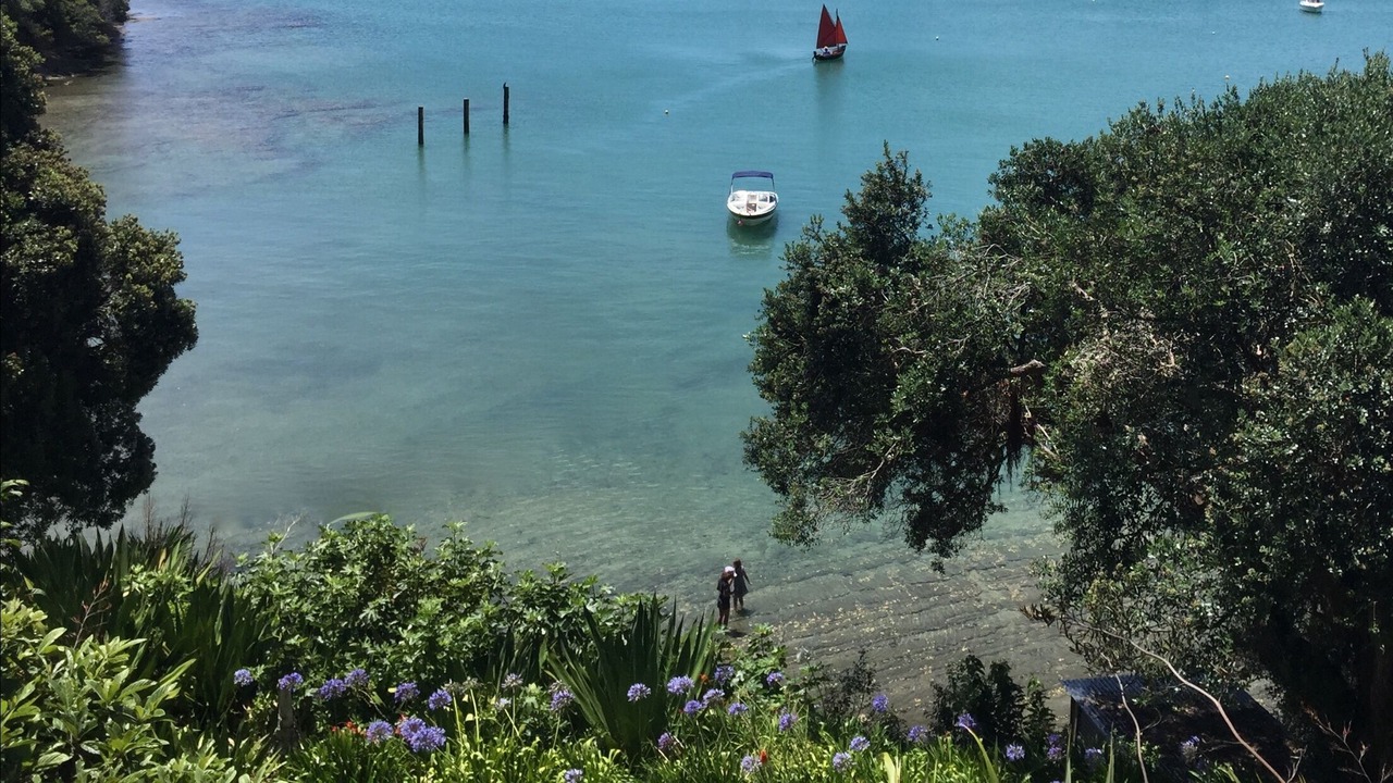 Photo of Others in Mahurangi West