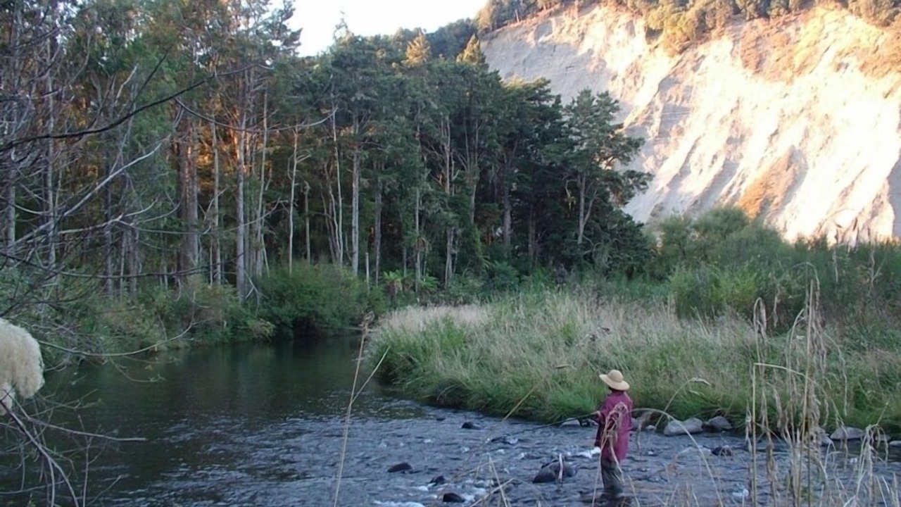 Photo of Others in Kakahi