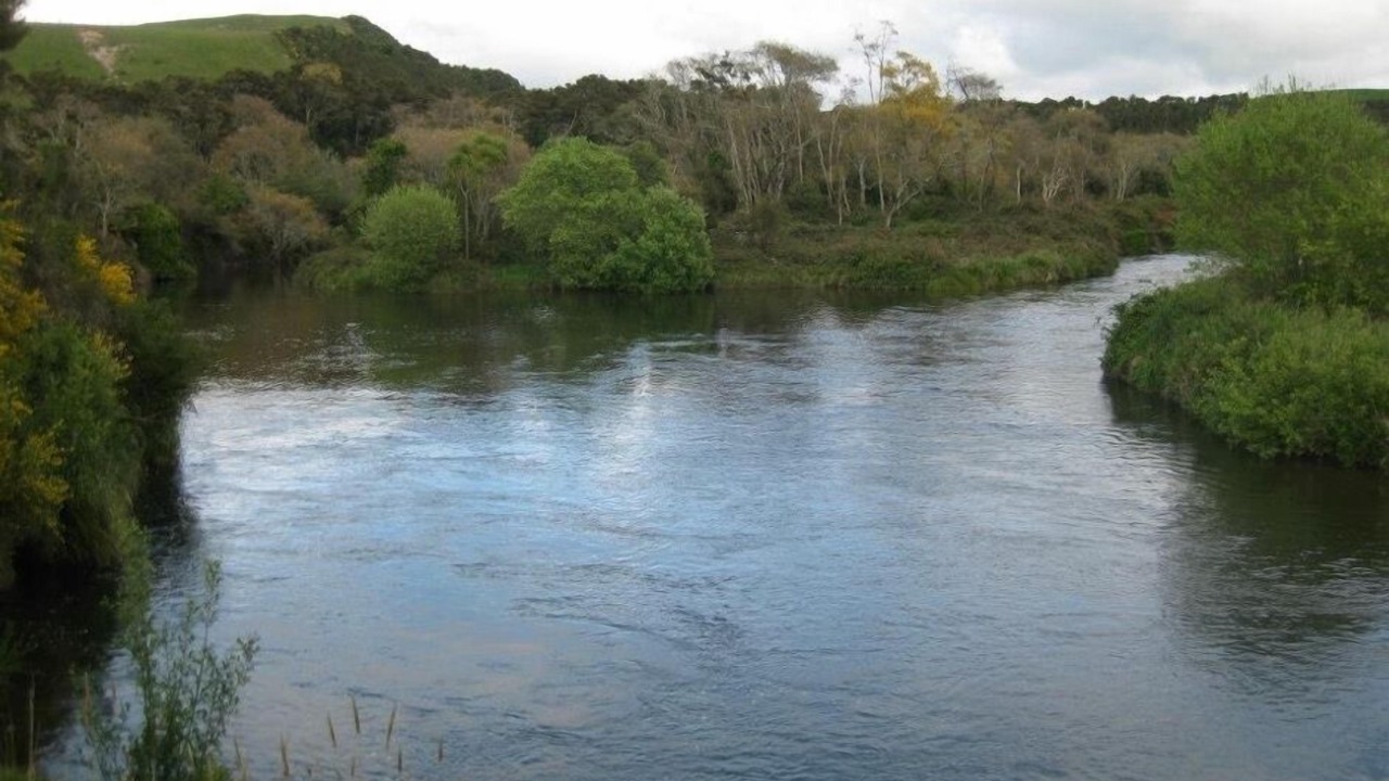 Photo of Others in Kakahi