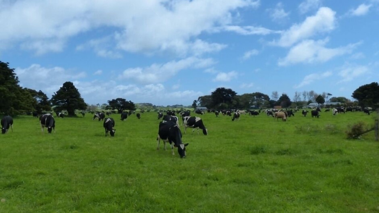 Photo of Others in Te Horo