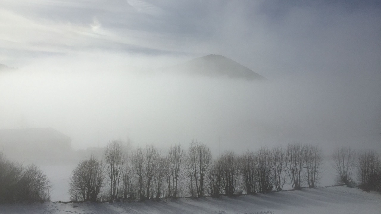 Photo of Others in Thollon-les-Memises