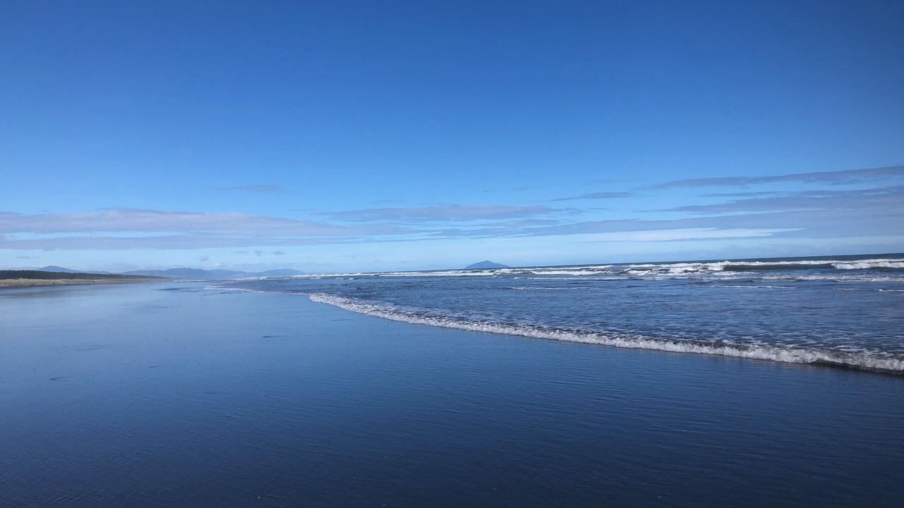 Photo of Others in Waitarere Beach