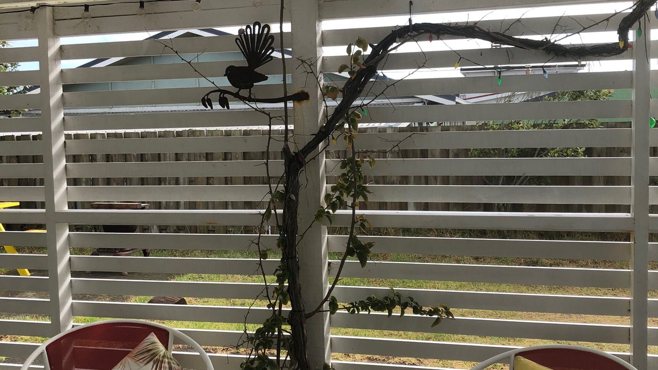 Photo of Outdoor in Waitarere Beach