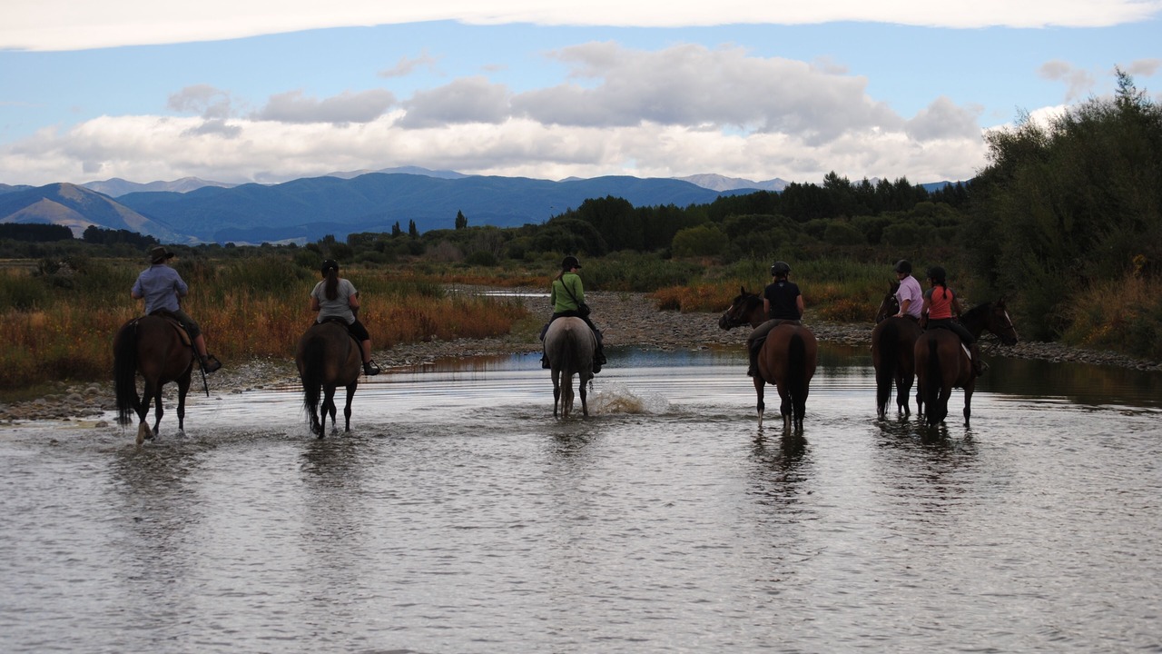 Photo of Others in North Loburn