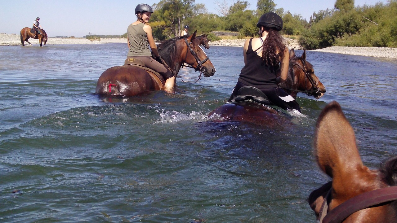 Photo of Others in North Loburn