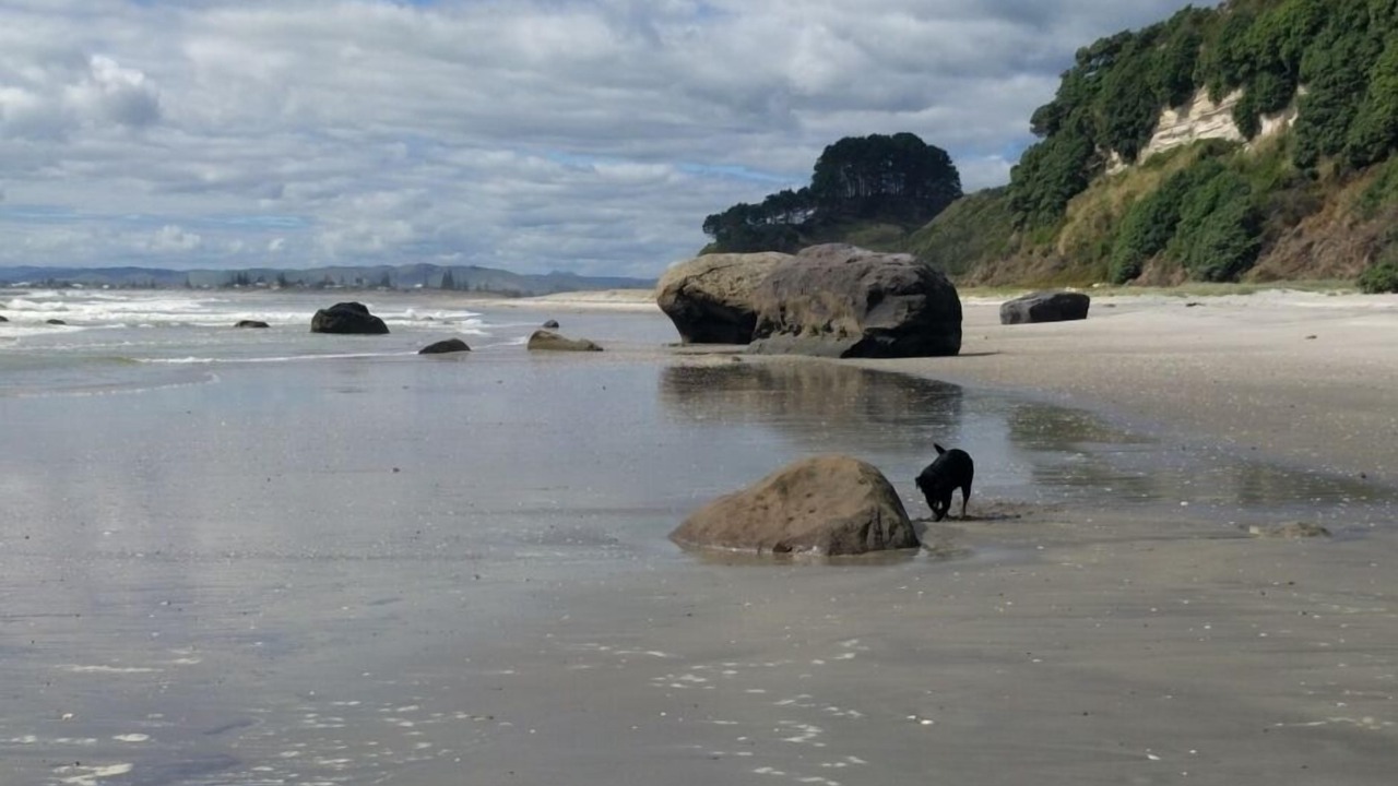 Photo of Others in Maketu