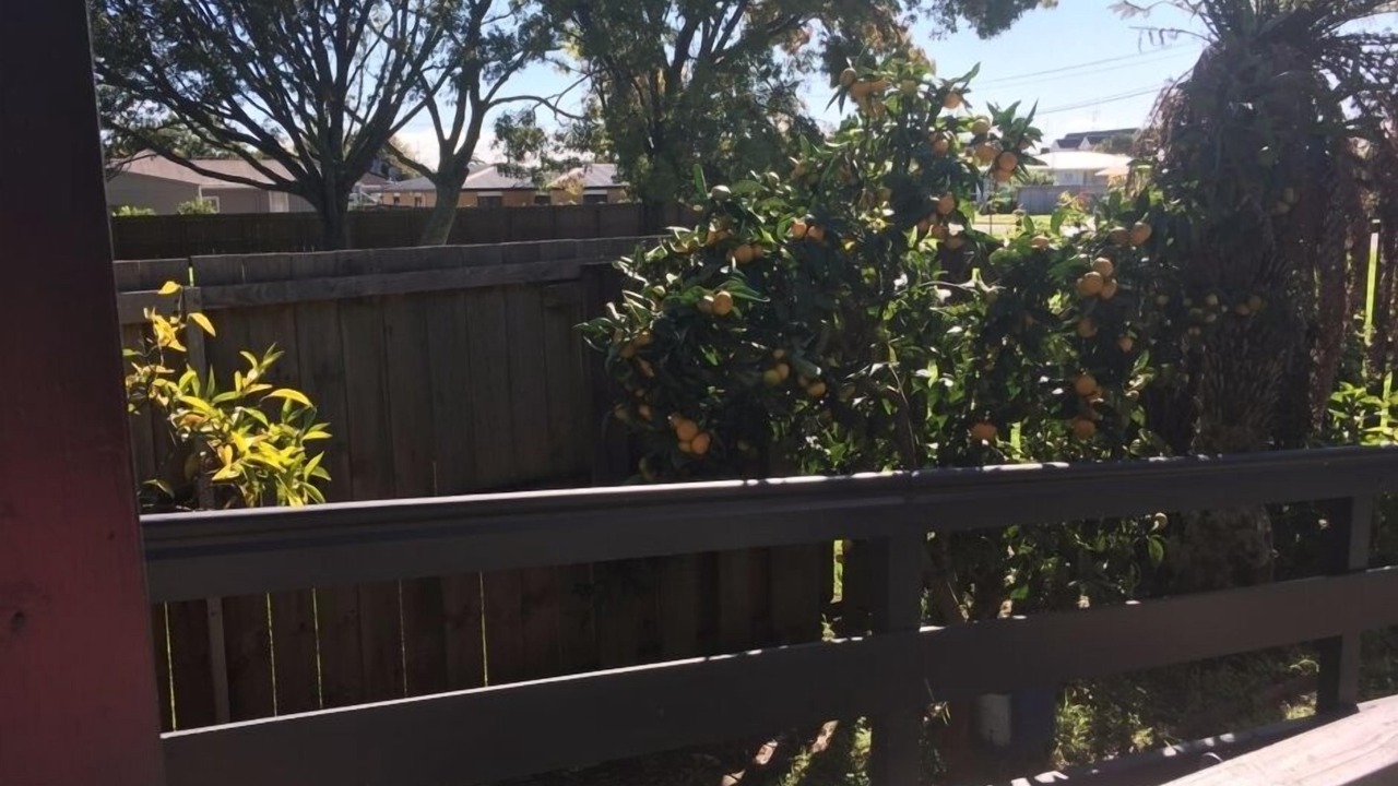 Photo of Others in Te Rapa