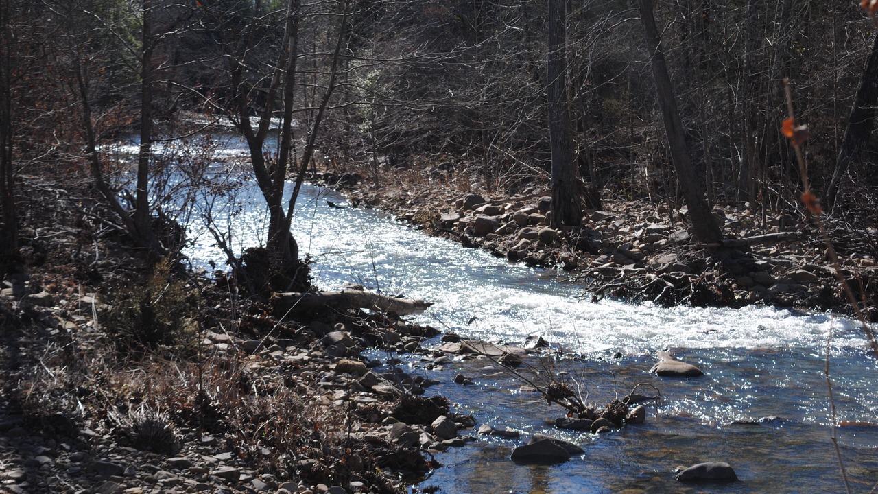Photo of Others in Smithville