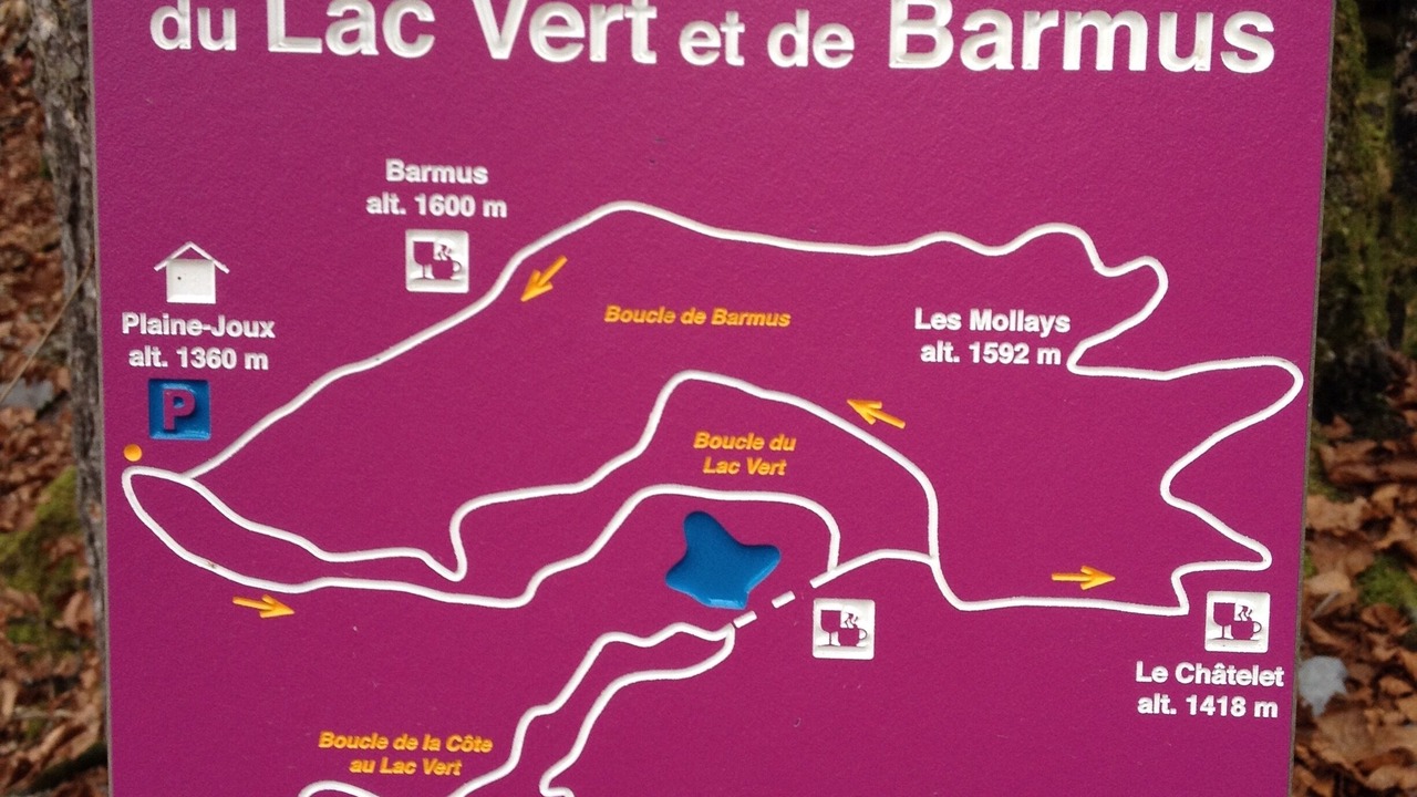 Photo of Others in Servoz