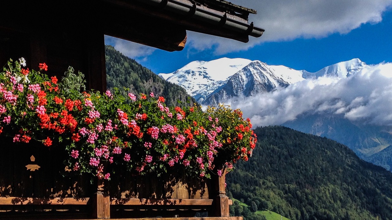 Photo of Others in Servoz