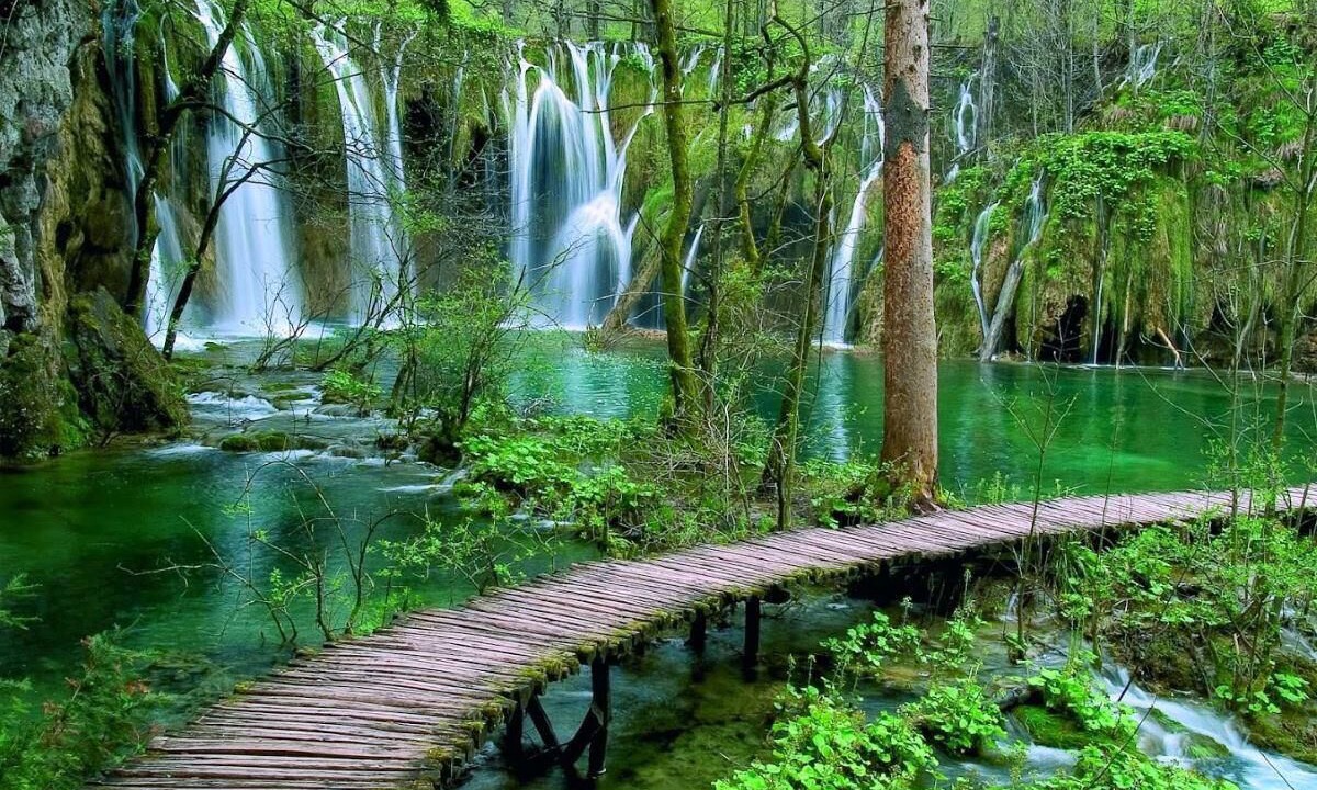 Photo of Outdoor in Smoljanac