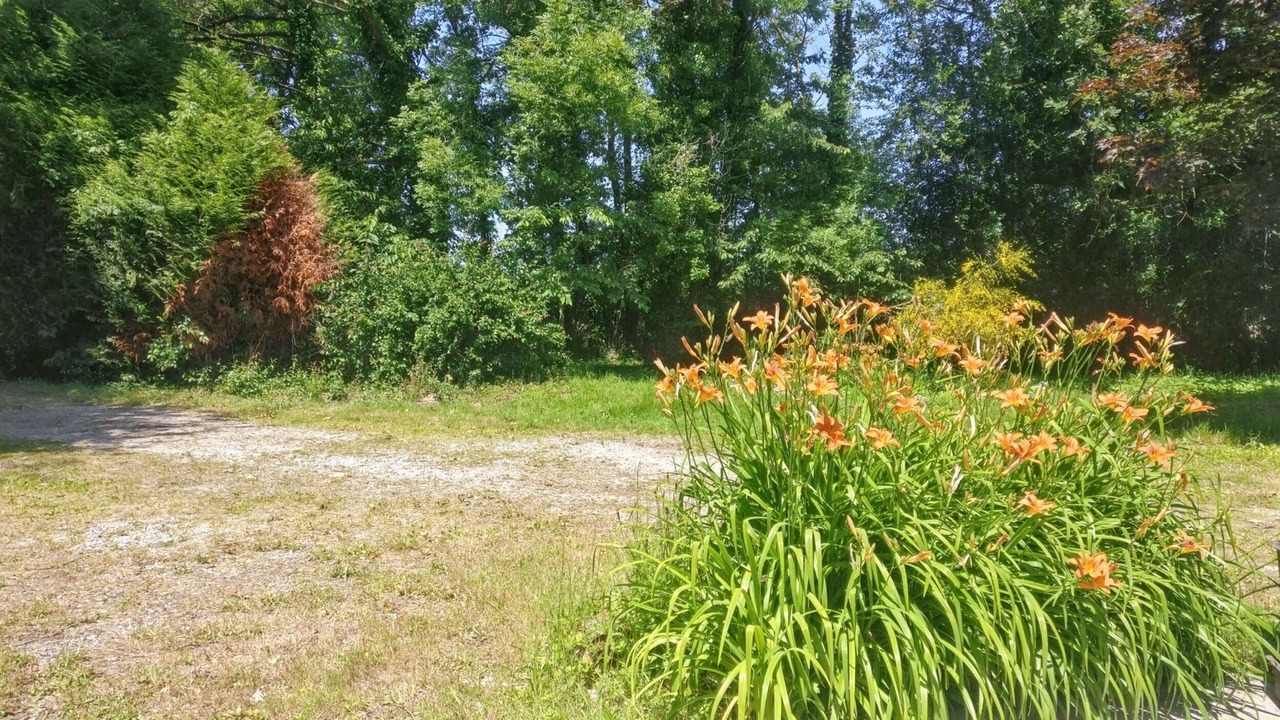 Photo of Outdoor in Venansault