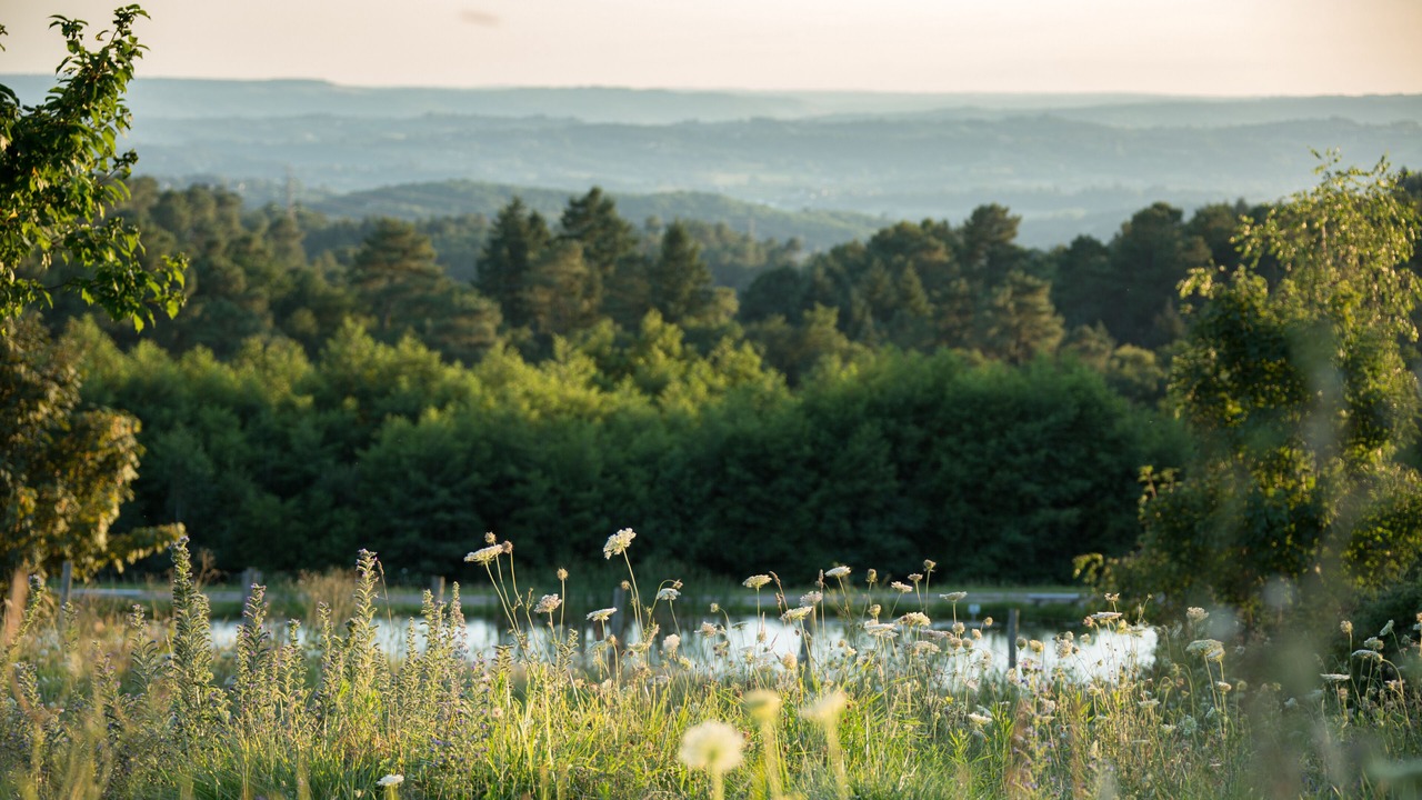 Photo of Others in Sainte-Fereole