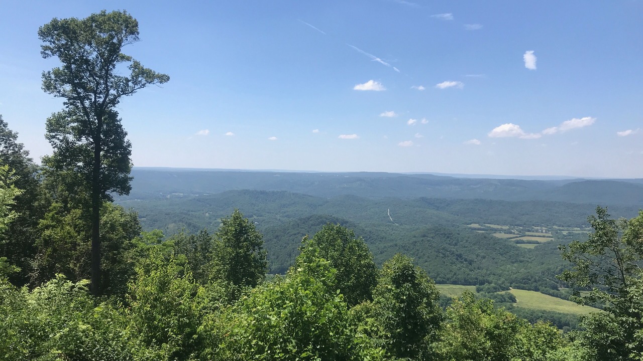 Photo of Others in Lookout Mountain