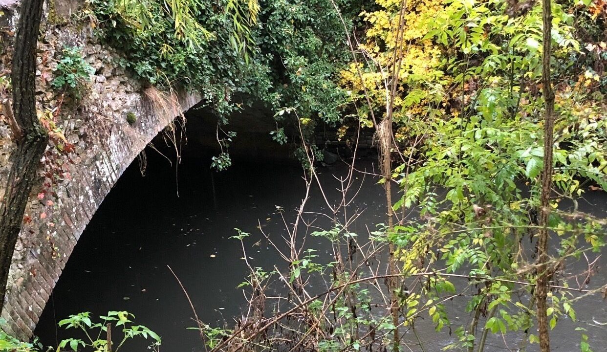 Photo of Outdoor in Chandelles